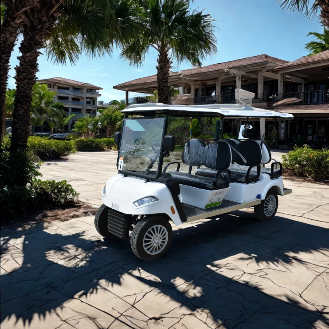 6 seater electric golf cart by republic motors