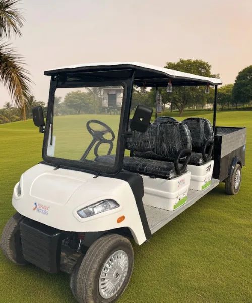 a 4 seater cargo cart on the green ground