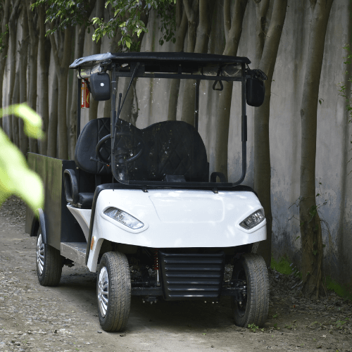 a 2 seater cargo cart with beautiful trees background lined up on the side of the road