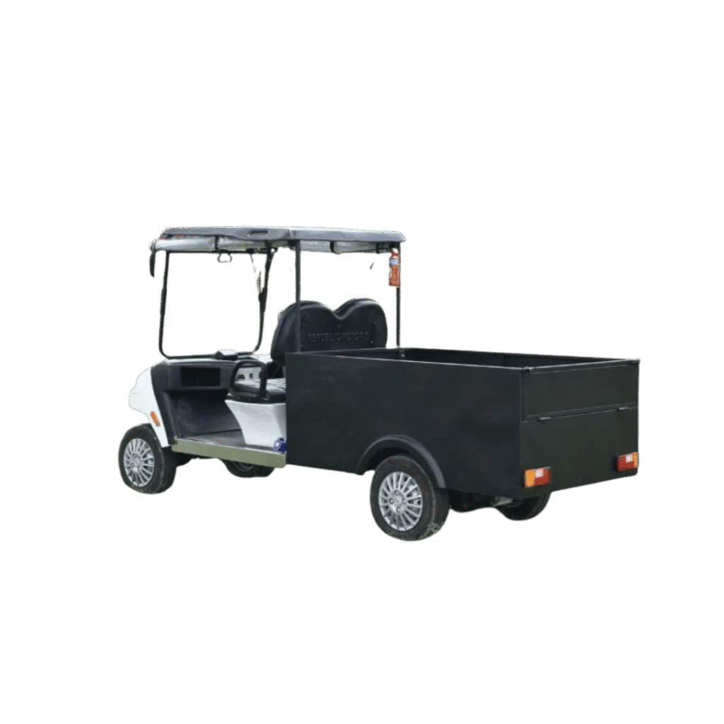 2 seater cargo cart