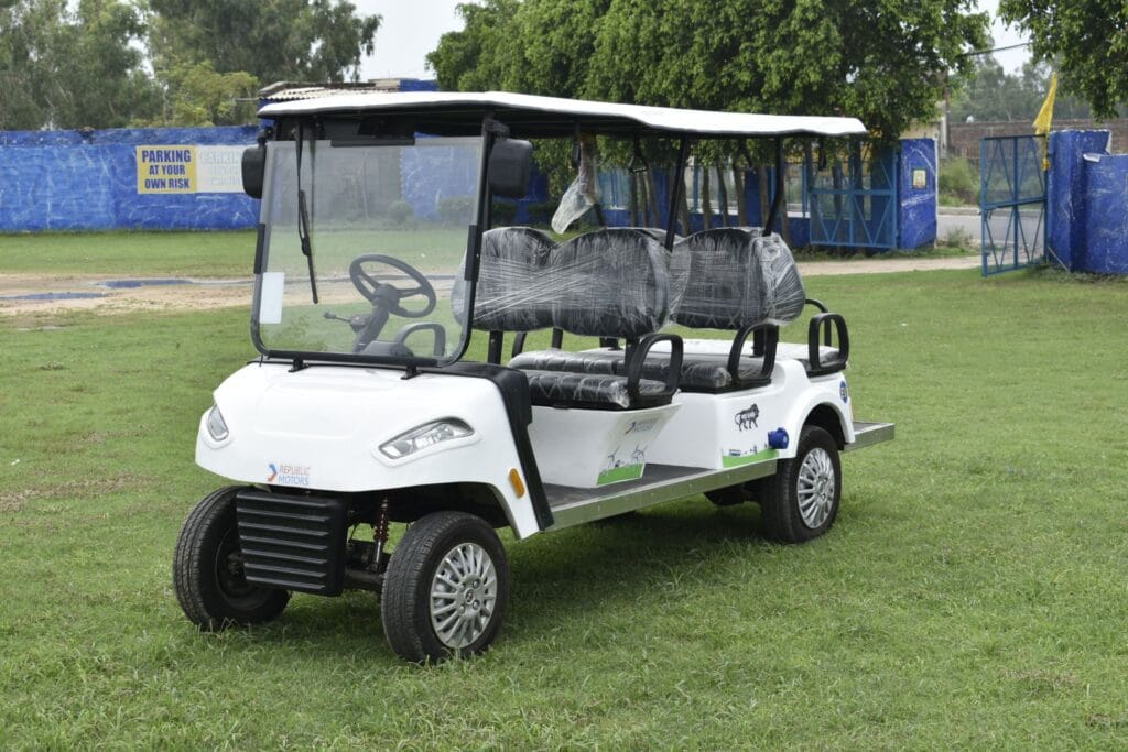A 6 seater golf cart's picture on a green ground